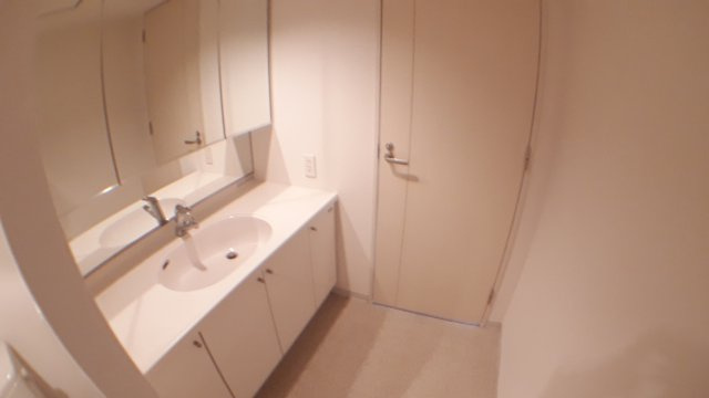 台東区元浅草２丁目の賃貸マンションのその他|洗面