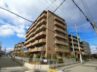レジェンダリー小松の画像