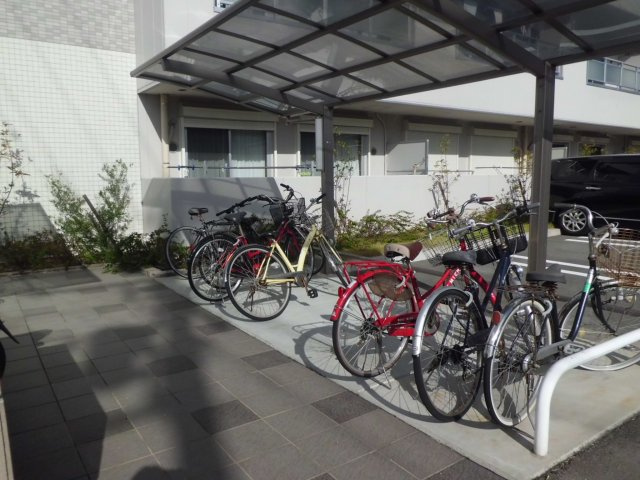 Apiceのその他|Apice（アピチェ）
