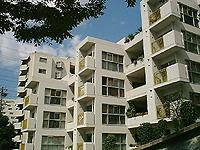 【外観】 | 千里山ロイヤルマンションＡ棟 | 外観★