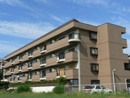 アルブルの画像