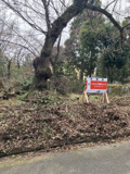 大津市大物804-7 売土地の画像