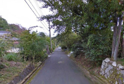 【前面道路含む現地写真】 | 大津市大物804-7 売土地 | 樹木の撤去には費用がかかります。