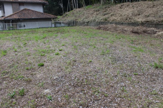 【外観】 | 敷地内、北東から南西方向