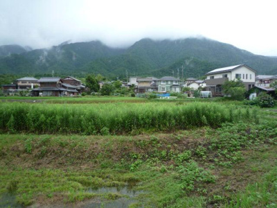 【周辺】 | 大津市南小松148　古家付土地 | 周りの風景