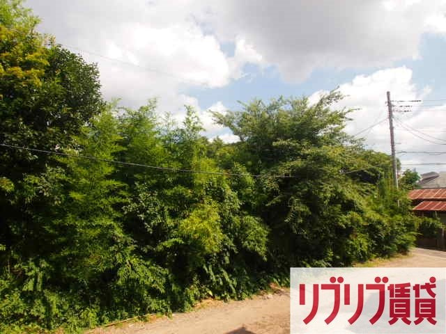 Passageの展望