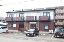 ビーライン松の木の画像