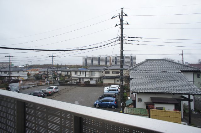 エレーナ・カトレア カトレアの展望