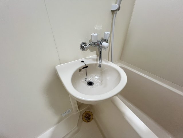 ベルカマラード( 近畿大学 一人暮らし )の洗面所