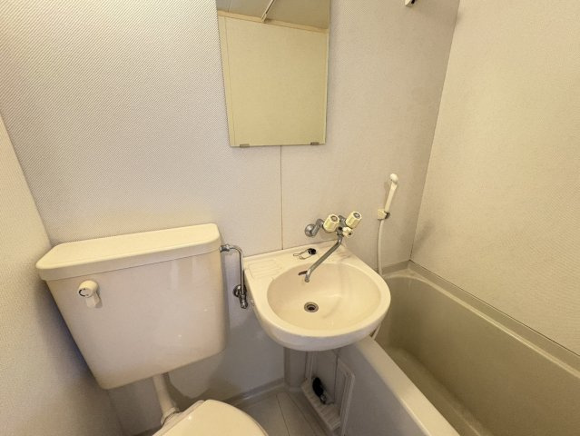 サザンクロスハイムの洗面所