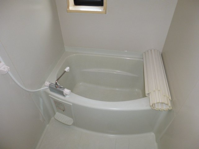 ラピュータ大島Ａの浴室