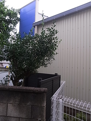【展望】 | ルビーパレスヨコオ