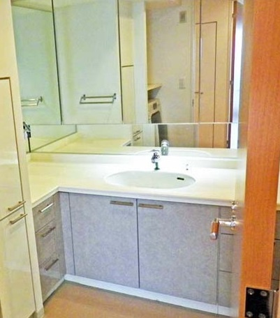 新宿区河田町の賃貸マンションのその他|洗面