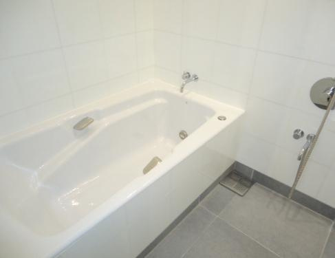 港区六本木１丁目の賃貸マンションの浴室|他タイプ参照