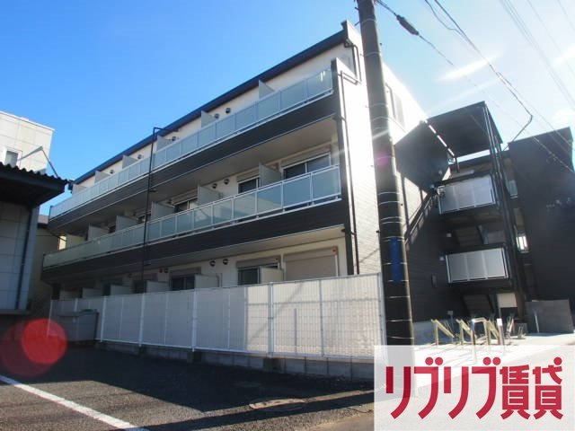 リブリ・パドルの外観