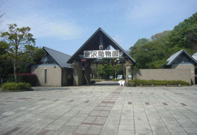 【周辺】 | 磯子台パークハイツ14号棟 | 金沢自然動物公園