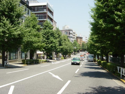 【周辺】 | 原宿グランドヒルズ | 前面道路　原宿グランドヒルズ