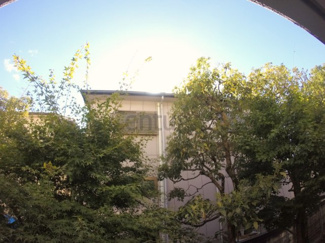 【展望】