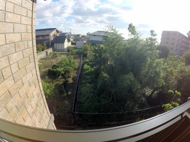 【展望】 | ボナール