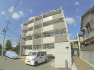 プラシスの画像