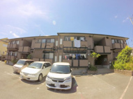 フィルグリーンの画像