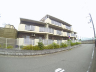 ラステラの画像