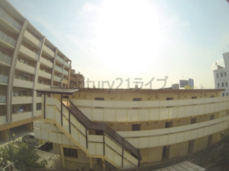 【展望】