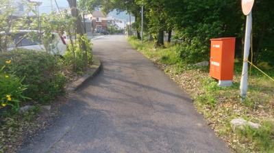 【前面道路含む現地写真】 | 大津市南小松1075　売土地 | 日当りは良好です