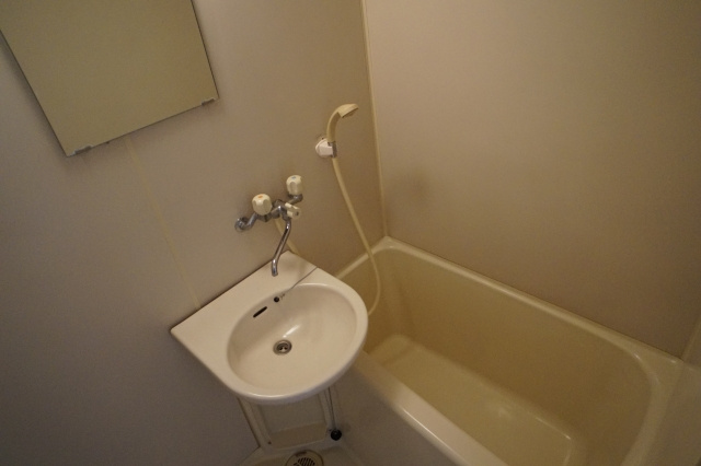 ウッディパレスフジⅡの洗面所