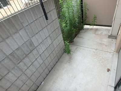 【庭】 | シャルマン