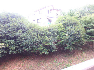 【展望】 | 展望
