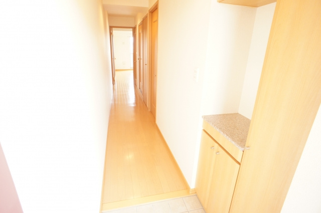 グランエリアールの玄関|★玄関先から部屋までとても明るいです