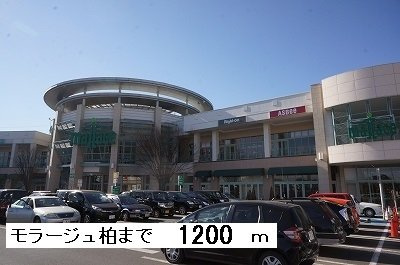 【周辺】 | ゼファーⅡ | モラージュ柏まで1200m