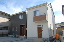 サンフラワーの画像