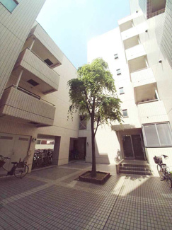 【外観】 | 【白山ハイツ】