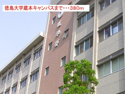 【周辺】 | アルモニー | 徳島大学　蔵本キャンパスまで380m