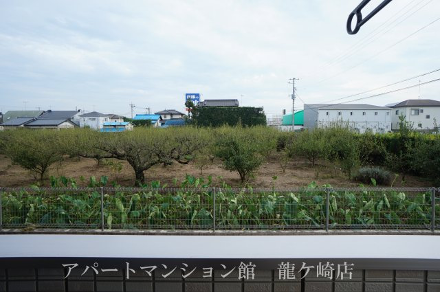 D-room住吉の展望