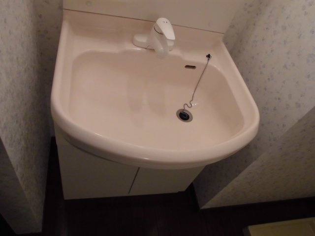 ガーデンハイツ恵比須の独立洗面台