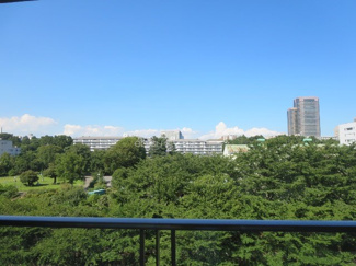 【展望】