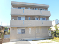 バークレー石津の画像