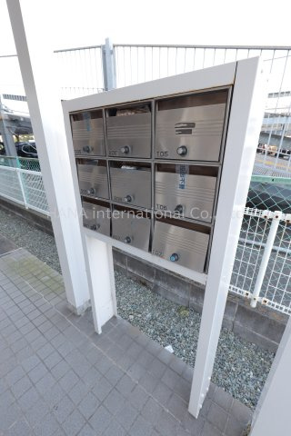 プリムローズのその他
