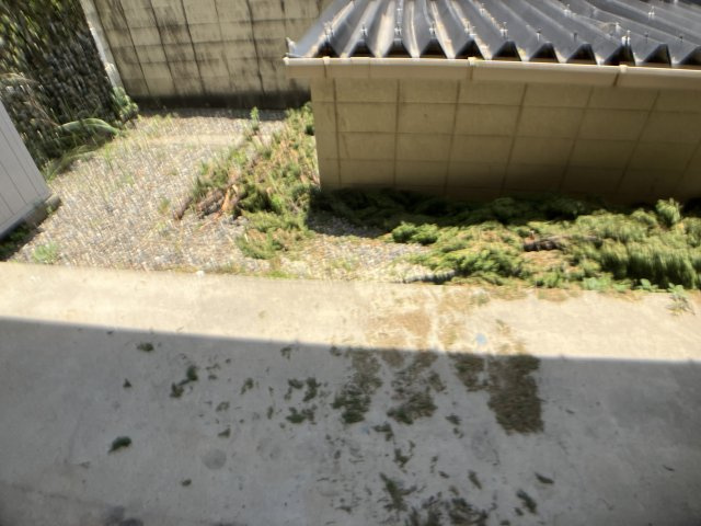 清城コーポラスの庭