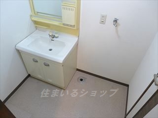 メゾンKSの洗面所