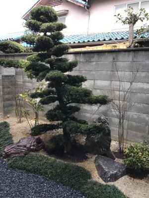 【庭】 | 吹田市千里山東二丁目戸建借家