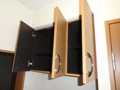  | パウロウニア