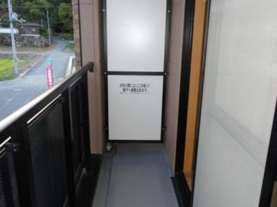  | パウロウニア