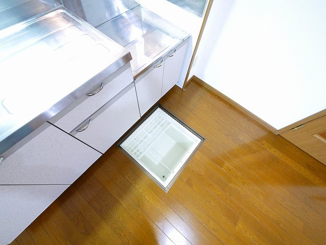 シルエラ　Ⅱの収納|便利な収納スペースです