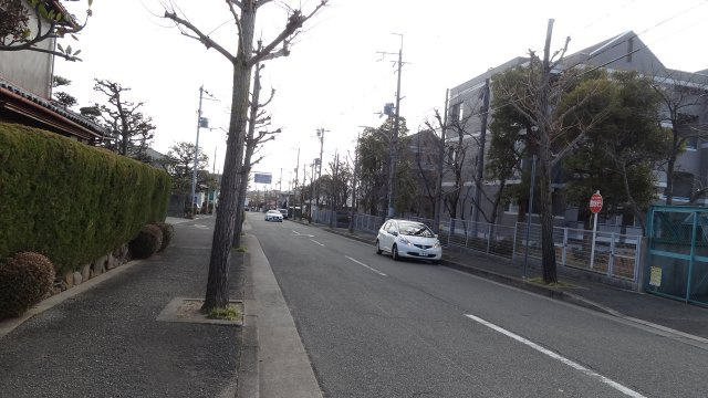箕面市桜ケ丘3丁目　新築戸建の周辺