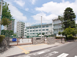 【周辺】 | 江戸川区立東小岩小学校　距離480m