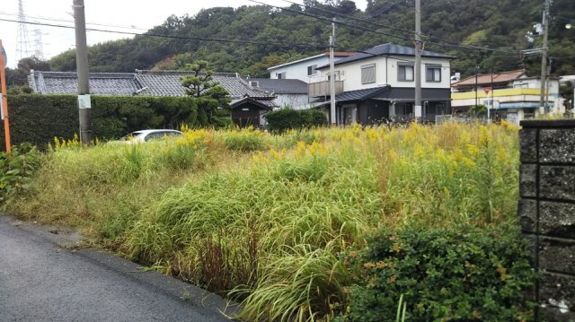 和歌山市毛見・土地・55687の外観